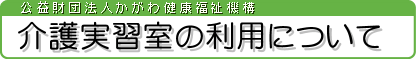 K̗pɂ