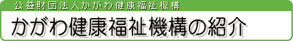 ()팒N@\̏Љ